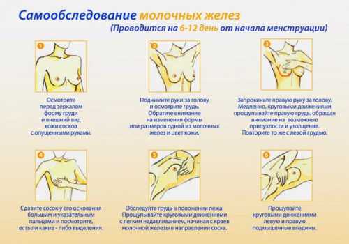 отношение к смерти и бегство от жизни в xx веке: лекция игоря михайлова